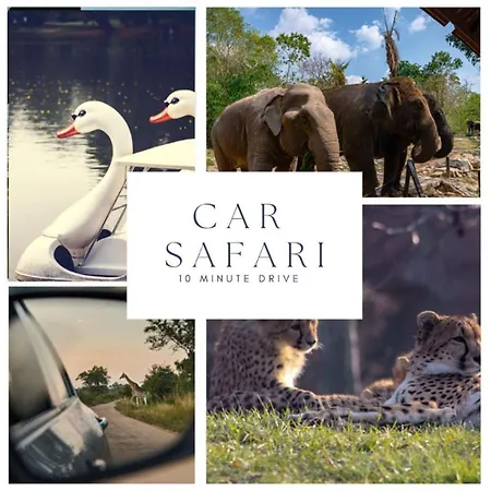 Daire Newly Renovated With Fast Wifi, Near Poppodium013 Tilburg