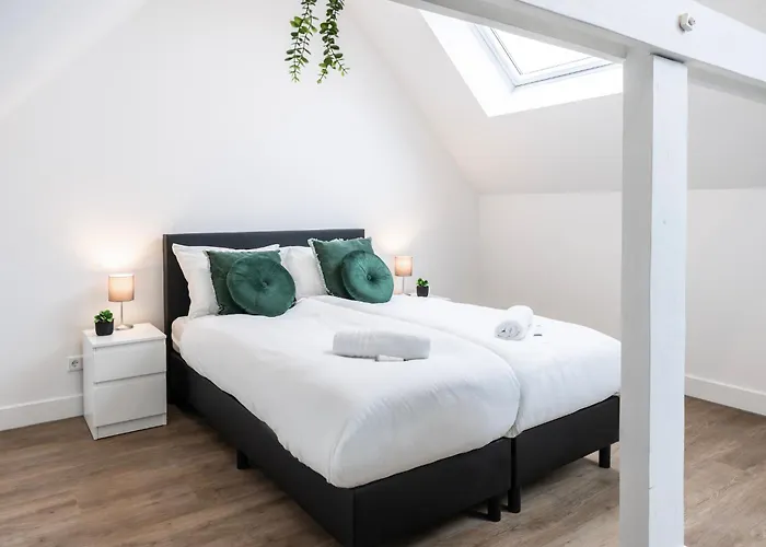 Newly Renovated With Fast Wifi, Near Poppodium013